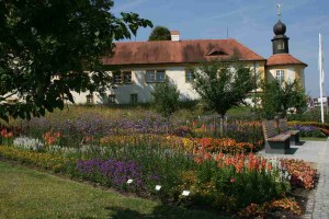 Fischhof-Ansicht-2-13-08