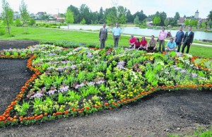 Kreativität und Können zeigten die drei Tirschenreuther Gärtnereien Bopp, Helgert und Schröpf, die im Fischhof-Park den größten blühenden Karpfen der Welt anlegten. Bis zur Eröffnung der Erlebniswochen Fisch im September haben die Parkbesucher eine herrliche Blumenpracht zu bewundern. Davon überzeugten sich am Donnerstagvormittag die Gäste