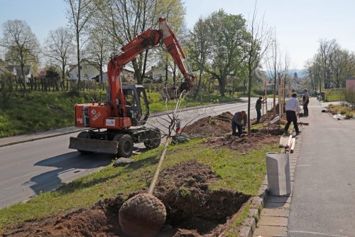 Baumpflanzung-16-05-03-1